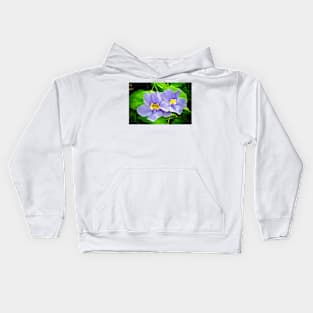 Streptocarpus Speicies Blue Flowers Kids Hoodie